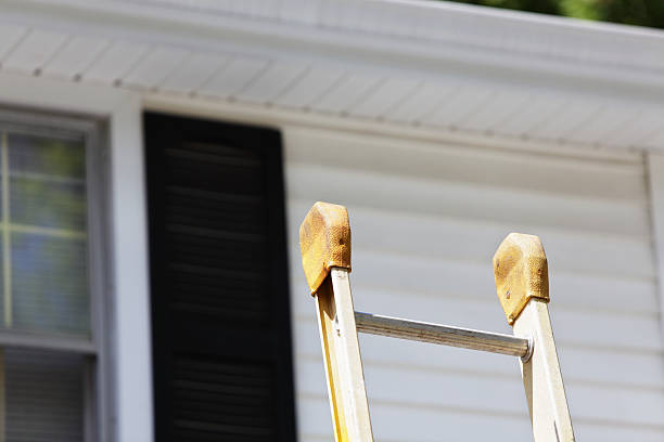 Best Brick Veneer Siding  in Poydras, LA