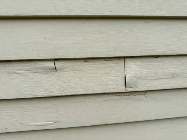 Best Historical Building Siding Restoration  in Poydras, LA